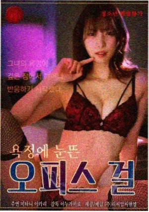 长风渡口剧集速览封面